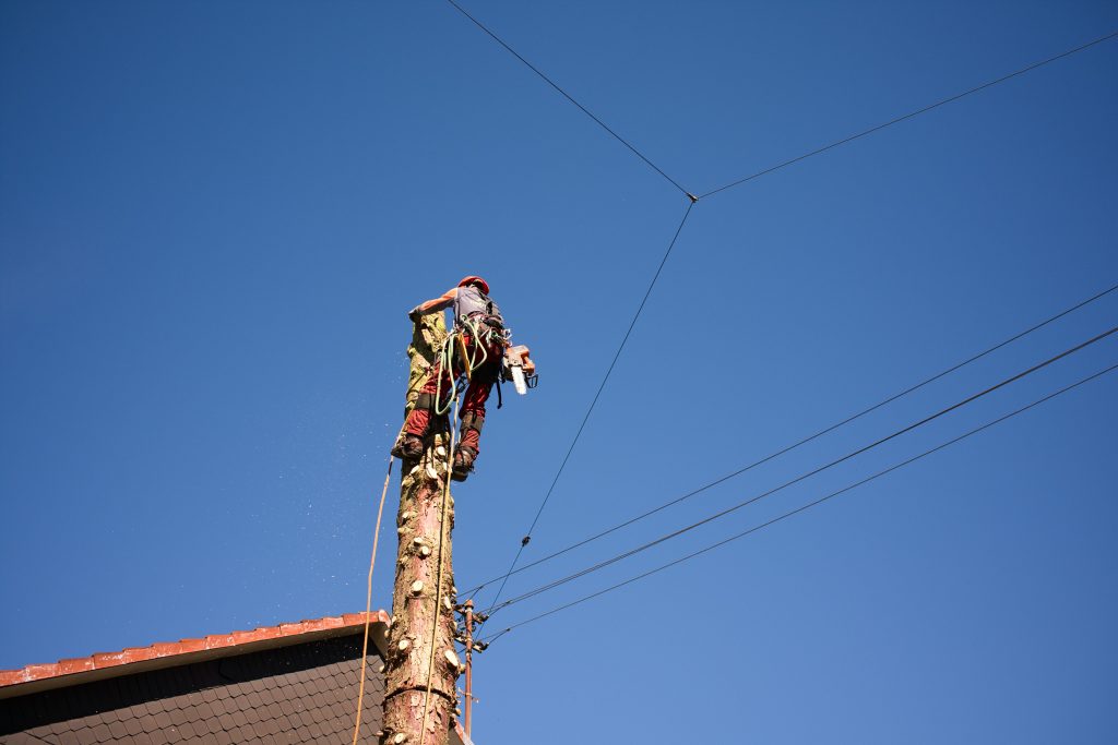 Safety Tips for Working at Heights