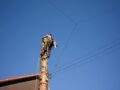 Safety Tips for Working at Heights